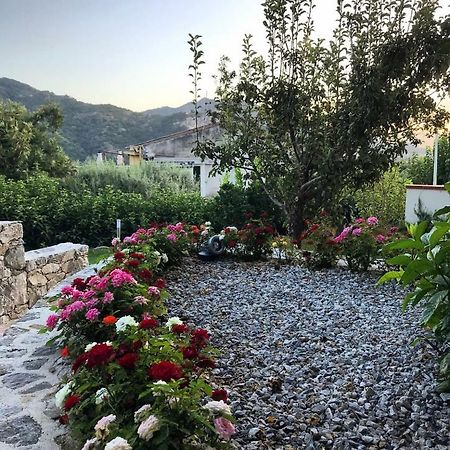 La Pergola Appartamenti Santa Lucia del Mela Eksteriør billede