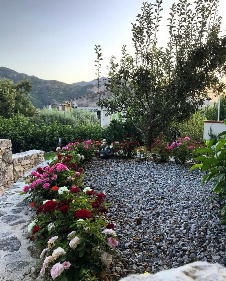 La Pergola Appartamenti Santa Lucia del Mela Eksteriør billede